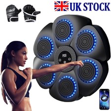 Boxing Machine Wall Mount