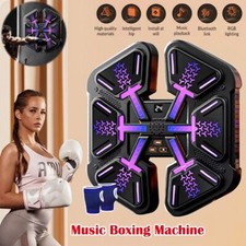 Boxing Training Target Wall