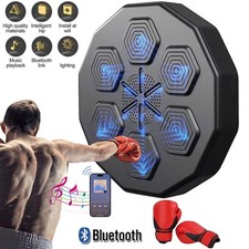 Wall Mount Boxing Training