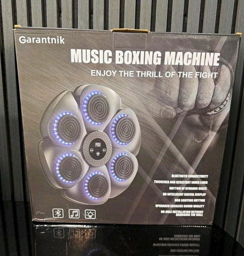 Garantnik music boxing machine - boxing,